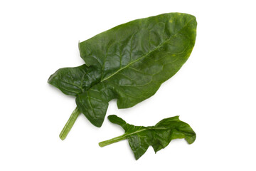 spinach leaves isolated, png file