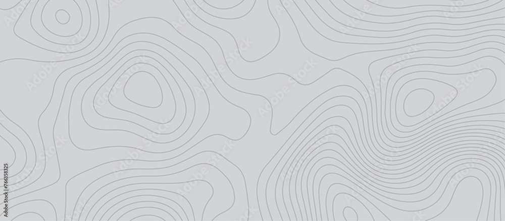 Wall mural topographic map background geographic line map pattern .panorama view gray color wave curve lines .g