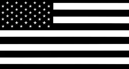 Fotobehang america flag in the style of inverted black © Alexei
