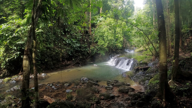small river in the corcovado jungle