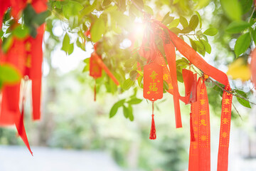 Happy wishing sign on the wishing tree