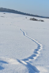 Germany Hessisch Lichtenau Werra Mei&szlig;ner district March 2024