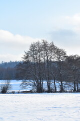 Germany Hessisch Lichtenau Werra Meißner district March 2024