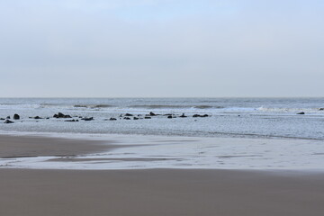 Belgium's coast in winter with sandstorms and sunshine