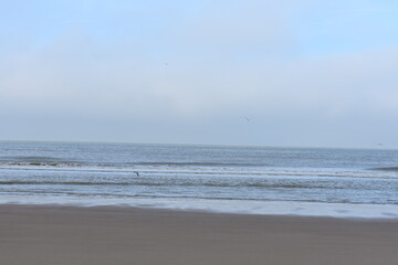 Belgium's coast in winter with sandstorms and sunshine