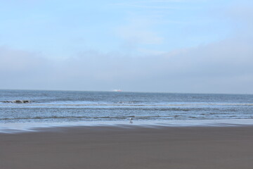 Belgium's coast in winter with sandstorms and sunshine
