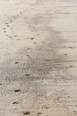 Belgium's coast in winter with sandstorms and sunshine