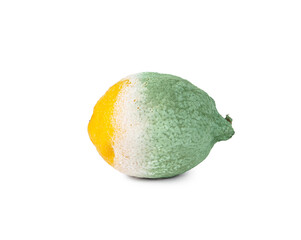 rotten lemon half fresh lemon half spoiled