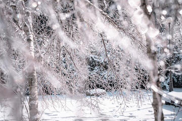 강원도 겨울 풍경