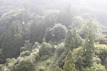 山に消えるしゃぼん玉