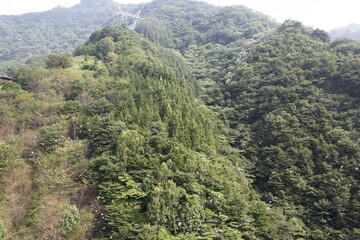 山に飛ぶシャボン玉