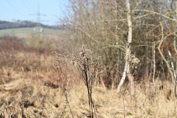 Germany Hessisch Lichtenau Werra Meißner district March 2024