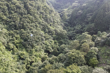 山に消えるしゃぼん玉