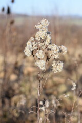 Germany Hessisch Lichtenau Werra Meißner district March 2024