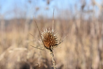Germany Hessisch Lichtenau Werra Mei&szlig;ner district March 2024