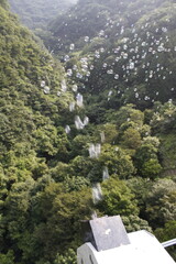 山に消えるしゃぼん玉