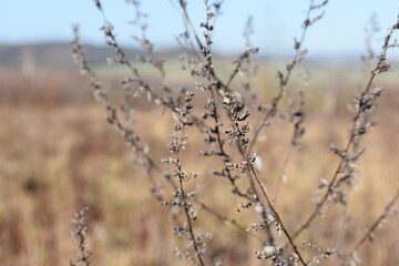 Germany Hessisch Lichtenau Werra Meißner district March 2024