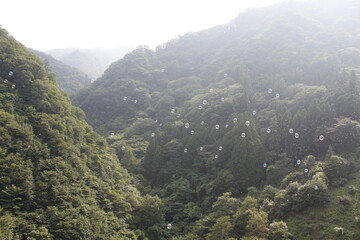 山に飛ぶシャボン玉