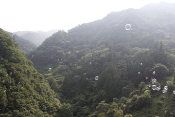 山に飛ぶシャボン玉