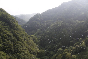 山に飛ぶシャボン玉