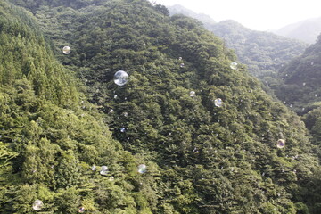 山に飛ぶシャボン玉