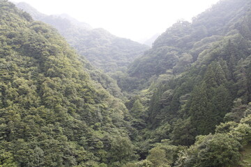 山に飛ぶシャボン玉