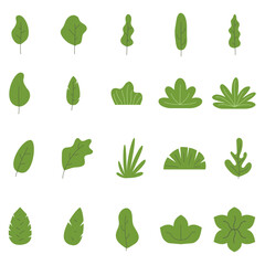 Set of flat illustrations of plants, trees, leaves, branches, and bushes. Flat vector cartoon illustration