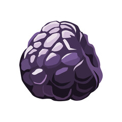 juicy blue blackberry on white background. Isolated vector summer berries in flat style