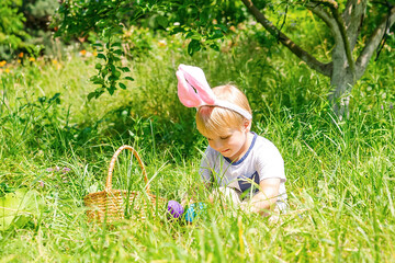Easter egg hunt. Little boy child kid in bunny ears having fun,picking up eggs in grass,in garden.Easter holiday tradition.Baby with basket full of colorful eggs