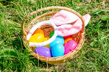 Easter egg hunt.basket full of colorful eggs picking up,bunny ears in grass,in garden.Easter holiday tradition