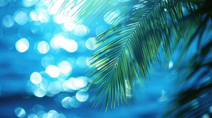 Fototapeta na wymiar Shimmering Sea with Blurred Lights and Palm Leaf Shadows