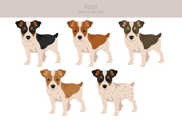 Feist dog clipart. Different coat colors set
