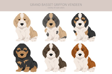 Grand basset griffon vendeen puppy clipart. Different poses, coat colors set