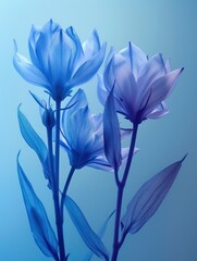 Beautiful fantasy flowers in translucent colors with shades of blue