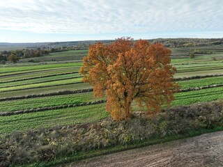 Krajobraz wiejski jesienią, słoneczny dzień jesienny dzień, złota jesień, krajobraz wiejski...
