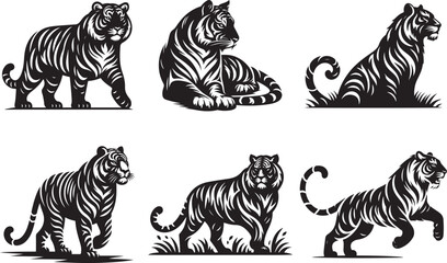Fototapeta na wymiar Set of stylized silhouettes of standing in different poses tigers. Isolated on white background. Vector illustration.
