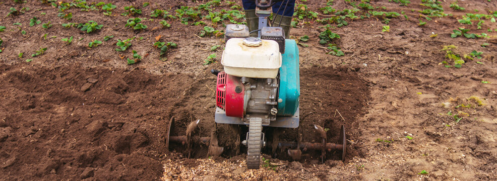 a male farmer works in the field on a walk behind a walk-behind tractor, plows the land with a plow