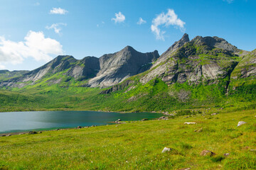 Fototapeta na wymiar Mountain lakes in Lofoten islands, Nordland, Norway. Alpine lake surrounded by the scenic nature with fields and peaks. Hiking in wild nature of Lofoten islands.