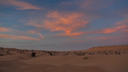 Fototapeta na wymiar Sunrise over the Sahara Desert, outside of Douz, Tunisia