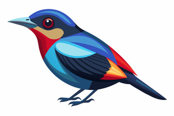 Cebu flowerpecker vector arts illustration