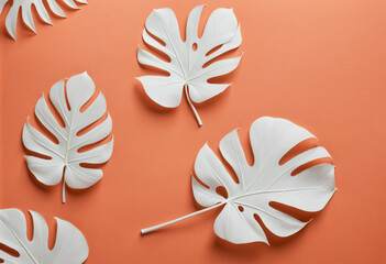 White paper Monstera leaves on coral orange background with copy space colorful background