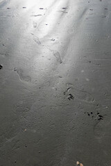 Glare reflection on smooth wet beach sand with shoe and paw footprints near the ocean