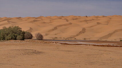 Oasis in the Sahara Desert, outside of Douz, Tunisia