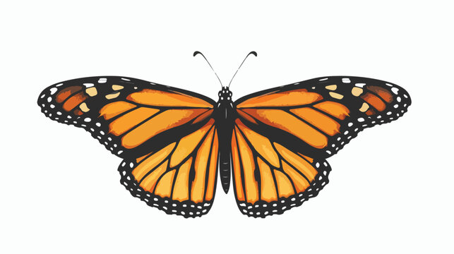 Monarch butterfly flat vector isolated on white background