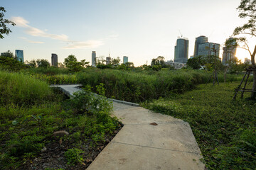 Pathway in green tree city public park sunset light with building