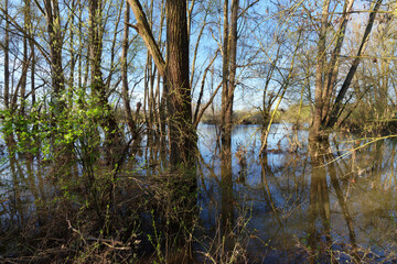 Fototapeta premium Loire river flood in Chécy village. Loire valley