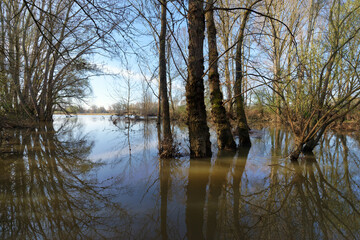 Loire river flood in Chécy village. Loire valley - 766401339