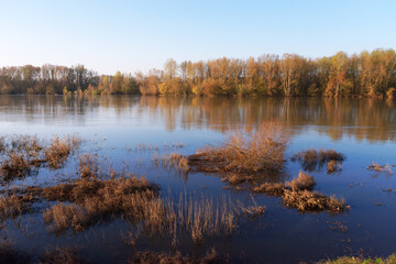  Loire river bank in Combleux village