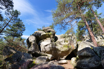 Boulders off the Dame Jouanne rock in The massif of Fontainebleau	 - 766402350