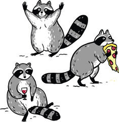Vector collection of illustrations of a cute funny raccoon cartoon hand drawn character isolated on white background